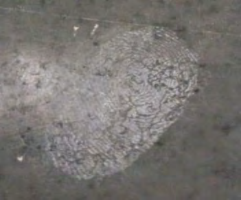 Figure 9: Development of Latent Fingerprint with the help of sugar powder on Non-Porous Floor surface.