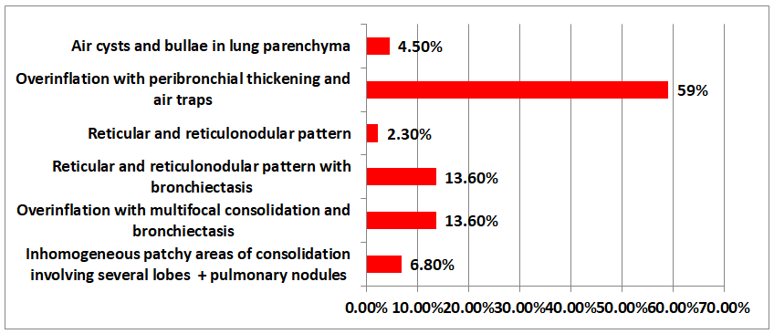 Figure 2: CT patterns in children with lung diseases complicated by chronic RF.