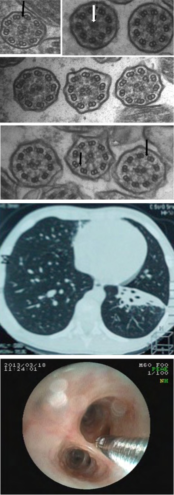 Figure 9