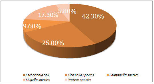 Figure 1: Distribution of Isolated Enterobactericeae.