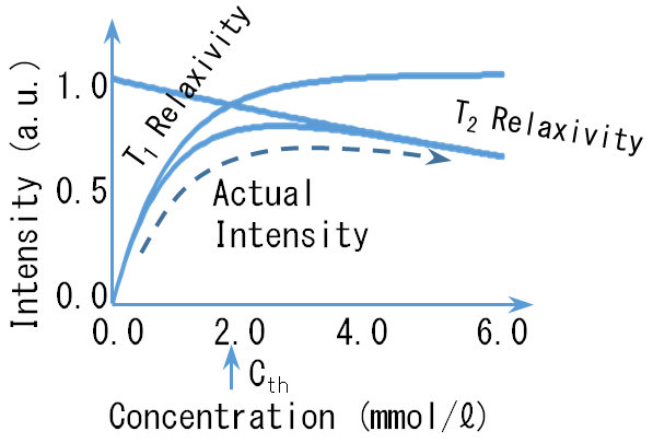 Figure 2: Dependence of the MRI signal intensity on the CA concentration. The relation is linear in the vicinity of the clinical dose level of 0.5 mmol/ℓ. The decreases to the left and right are due to the T1 and T2 relaxivities, respectively. From the figure I am not sure an "increase to the left".