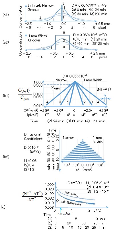 Figure 3: Time evolution of the concentration profiles C(x,t) diffusing from (a1) an infinitely narrow groove and (a2) a 1-mm-wide groove, represented by linear tails in the x2-log10C(x,t) plane in the left and right parts of (b1), respectively. Because the profiles of (a1) and (a2) were derived analytically and numerically, respectively, the linear tails to the left and right in (b1) are denoted an analytical tail (AT) and numerical tail (NT), respectively. The NT (right) is greater than the AT (left) because the groove width is considered in the numerical simulation. (b2) Time-shift arrangement of AT (left) and NT (right), for concentrations greater than 0.1 of the peak concentrationes at each time step. (c) The difference (NT2 − AT2)/AT2 between the NT and AT decreases with time. The AT of the quasi-Gaussian profile is closer to the numerical profile than that of the Gaussian profile. (d1) Time progression of the peak concentrations derived from the numerical simulation Cpeak and quasi-Gaussian profile Cpeak,approx. (d2) Time evolution of the ratio (Cpeak− Cpeak,approx.)/Cpeak,. which is always less than 0.16.