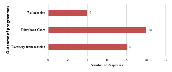 Figure 3: Outcomes of programmes initiated after the disaster as told by MSCs in Chimanimani.