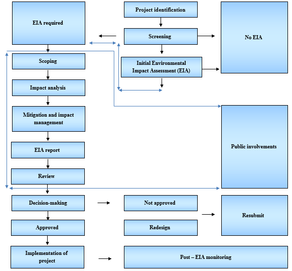 Figure 1: Flow diagram of current review and steps of project identification in EIA plan [26].