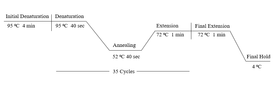Figure 1: Schematic representation of PCR thermal cycler. Acne Types; Type I= Comedonica, Type II= Nodulocystic-Papulopustular