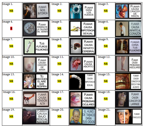 Figure 1: Coding of the decision for each image based on the scores obtained.