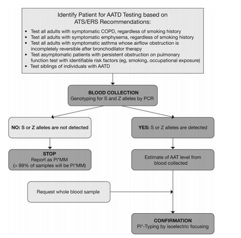 Figure 1: Example of an AATD testing algorithm. With this scheme, rare allele variants will not be picked up and further investigation may need to be considered if clinical suspicion of AATD is high. AAT, alpha1 –antirypsin deficiency; ATS: American Thoracic Society; COPD: Chronic obstructive pulmonary disease; ERS: European Respitaroty Society; PCR: Polymerase Chain Reaction; Pi: Proteinase Inhibitor.