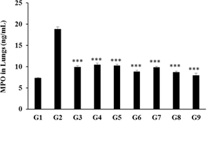 Figure 1: The data suggested that the disease control (Cecal Slurry, LPS and _E. coli_ + 0.5% CMC- Na)+ 0.5% CMC) group (G2) showed value of MPO as 18.85 ± 0.52 ng/mL, which was increased by 156.38% as compared with the normal control (G1, 7.35 ± 0.14 ng/mL). However, positive control (Dexamethasone) treatment (G3) showed the level of lungs MPO i.e. 9.88 ± 0.33 ng/mL, which was decreased by 47.57% as compared to the G2 group. The level of MPO in lungs was decreased by 44.71%, 45.77%, 53.36%, 47.80%, 53.89%, and 57.72% in the G4 (Cecal Slurry, LPS and _E. coli_ along with untreated test formulation); G5 (Cecal Slurry, LPS and _E. coli_ along with the Biofield Energy Treated test formulation); G6 (Cecal Slurry, LPS and _E. coli_ along with Biofield Energy Treatment _per se_ to animals from day -15); G7 (Cecal Slurry, LPS and _E. coli_ + Biofield Energy Treated test formulation from day -15); G8 (Cecal Slurry, LPS and _E. coli_ + Biofield Energy Treatment _per se_ + Biofield Energy Treated test formulation from day -15), and G9 (Cecal Slurry, LPS and _E. coli_ along with Biofield Energy Treatment _per se_ animals plus the untreated test formulation) groups, respectively with reference to disease control (G2) group. On the other hand, the level of MPO was reduced by 1.9%, 15.62%, 5.56%, 16.59%, and 23.51% in the G5, G6, G7, G8, and G9 groups, respectively with reference to untreated test formulation (G4). Myeloperoxidase (MPO) is released by activated neutrophils, characterized by powerful pro- oxidative and proinflammatory properties [32]. Overall, in this experiment the Biofield Energy Treated test formulation and Biofield Energy Treatment _per se_ reduced the level of MPO which might be helpful for the management of various inflammatory disorders.