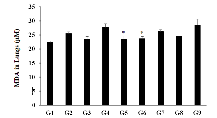 Figure 3: The disease control (Cecal Slurry, LPS and _E. coli_+ 0.5% CMC-Na) group (G2) showed value of MDA as 25.58 ± 0.64 µM, which was increased by 14.41% as compared with the normal control (G1, 22.36 ± 0.51 µM) group. While, the positive control (Dexamethasone) treatment (G3) decreased the level of MDA by 7.53% i.e. 23.66 ± 0.79 µM as compared to the G2 group. The level of MDA was decreased by 8.19%, 7.18%, and 4.3% in the G5 (Cecal Slurry, LPS and _E. coli_ along with the Biofield Energy Treated test formulation); G6 (Cecal Slurry, LPS and _E. coli_ along with Biofield Energy Treatment _per se_ to animals from day -15); and G8 (Cecal Slurry, LPS and _E. coli_ along with Biofield Energy Treatment _per se_ plus the Biofield Energy Treated test formulation from day -15), groups, respectively as compared to the disease control (G2) group. Moreover, the level of MDA was significantly reduced by 15.46% (_p_≤0.05), 14.53% (_p_≤0.05), 5.49%, and 11.88% in the G5, G6, G7, and G8 groups, respectively with reference to untreated test formulation (G4). Chronic inflammation can induce oxidative/nitro sative stress and lipid peroxidation (LPO), and its produce more reactive oxygen species (ROS), reactive nitrogen species (RNS), and DNA-reactive aldehydes and damaged the DNA in the cells [36]. DNA damage by lipid peroxidation products can leads to cancer [37]. Overall, here the Biofield Energy Treated test formulation and Biofield Energy Treatment _per se_ reduced the level of lipid peroxidation (LPO) end product in terms of malondialdehyde (MDA), which could be beneficial in the inflammatory symptoms.