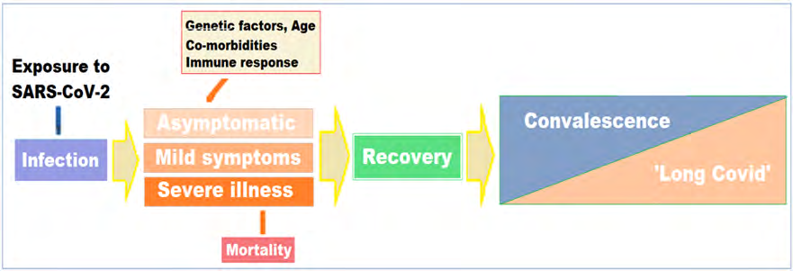 Figure 1: Protracted course of COVID-19 from acquiring the virus to lingering and incapacitating Long Covid.