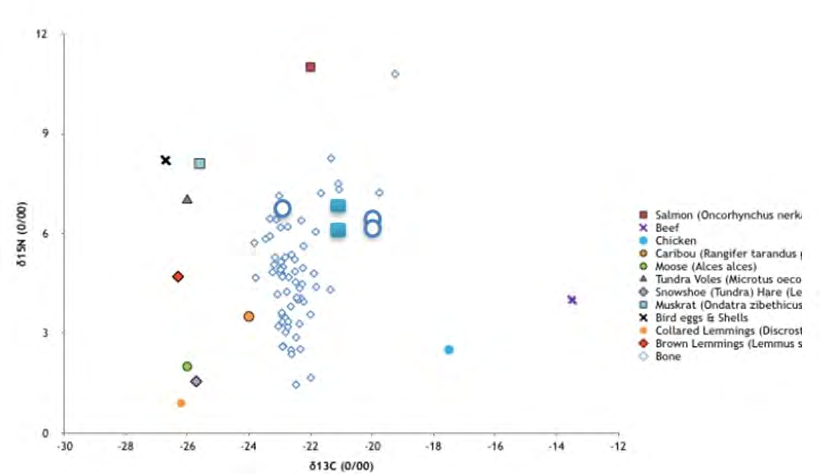 Figure 2: δ13C stable isotope values of bone collagen as an indication of diet. Blue colored squares are Yukon Territory Arctic foxes. Open large circles are Yukon Territory red foxes. Potential food sources data from Hobson, et al., Neil and Cornwell, Roth, et al., Schmutz and Hobson, Wilkinson, et al. [8,46-50].
