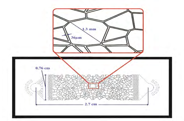 Figure 1: NOA81 device with irregular and tapered channels simulating a sandstone reservoir.
