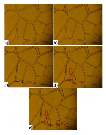 Figure 8: These pictures are taken in five-time steps at the same location in the microchannel to show generation of trapped oil in the system (a) gas entering the channels, (b) gas flowing and pushing existing fluids downwards, (c) gas finding the path of least resistance and flowing downward, and (d, e) bypassing oil droplets termed as trapped oil.