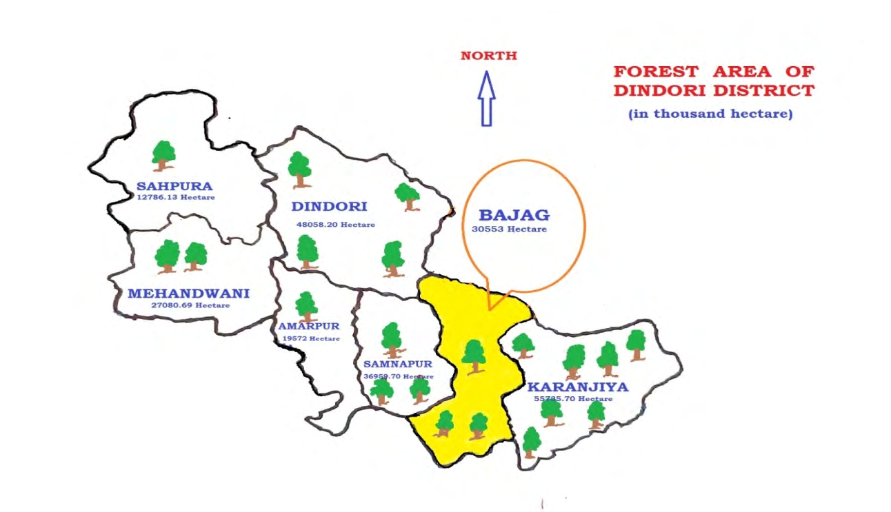 Figure 4: Showing Bajag Forest Range.