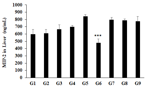 Figure 4: Expression the level of liver matrix metallopeptidase 9 (MMP-9) in Sprague Dawley rats after administration of Biofield Treated test formulation and Biofield Energy Healing _per se_. G1 as normal control (vehicle, 0.5% w/v CMC-Na); G2 as disease control (Cecal Slurry, LPS and _E. coli_ + 0.5% CMC-Na); G3 as reference item (Cecal Slurry, LPS and _E. coli_ + Dexamethasone); G4 includes Cecal Slurry, LPS and _E. coli_ along with untreated test formulation; G5 as Cecal Slurry, LPS and _E. coli_ along with the Biofield Energy Treated test formulation; G6 group includes Cecal Slurry, LPS and _E. coli_ along with Biofield Energy Treatment _per se_ to animals from day -15; G7 as Cecal Slurry, LPS and _E. coli_ + Biofield Energy Treated test formulation from day -15; G8 group includes Cecal Slurry, LPS and _E. coli_ + Biofield Energy Treatment _per se_ + Biofield Energy Treated test formulation from day -15, and G9 group denoted Cecal Slurry, LPS and _E. coli_ along with Biofield Energy Treatment _per se_ animals plus the untreated test formulation. Values are presented as mean ± SEM (n=6-9). ***_p_≤0.001 _vs_. G2.
