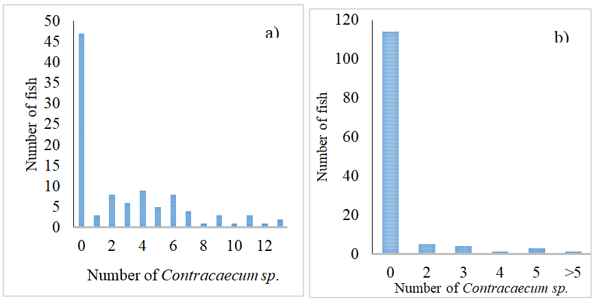 Figure 2: The a) prevalence (%) and b) mean intensities (±SDE) of Cichlidogyrus sp. from O. niloticus of Lake Koftu, Sebeta ponds and selected private fish farms (n=302).