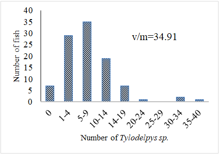 Figure 7: Frequency distribution of Tylodelpys sp. in Koftu Lake (n=101).