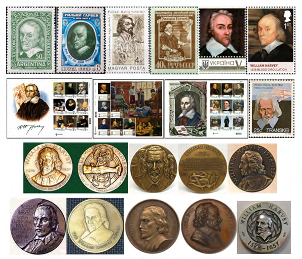 Figure 4: A selection of materials dedicated to William Harvey.