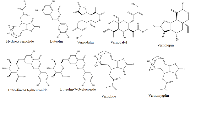 Figure 1: Structures of the phytochemicals from Vernonia amygdalina.