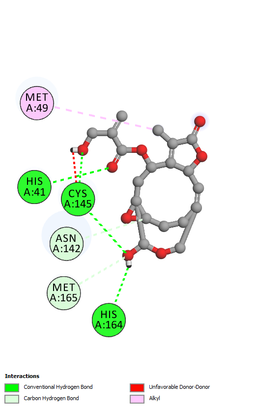 Figure 3: 2D-diagram of interaction of luteolin-7-O-glucuronide (left) and luteolin-7-O-glucoside (right) with Mpro.