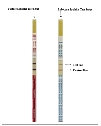Figure 1: Picture showing a Syphilis Positive Test using Perfect and LabAcon Rapid Test Strips.
