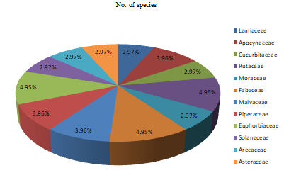 Figure 3: Recorded dominant medicinal plants families in the study area.