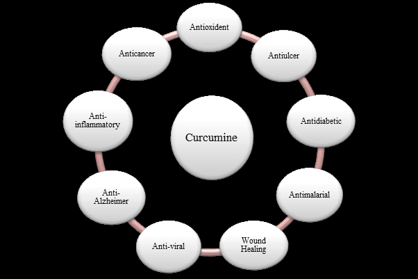 Figure 1: Role of curcumin in different disease.
