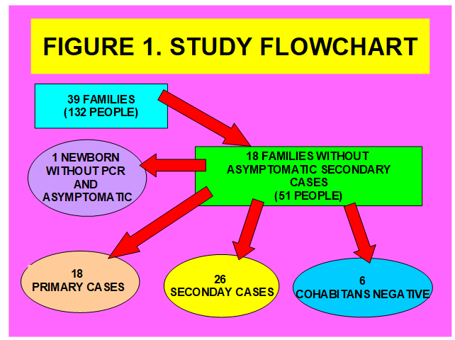 Figure 1: Study Flowchart. 18 Families without Asymptomatic Secondary Cases.