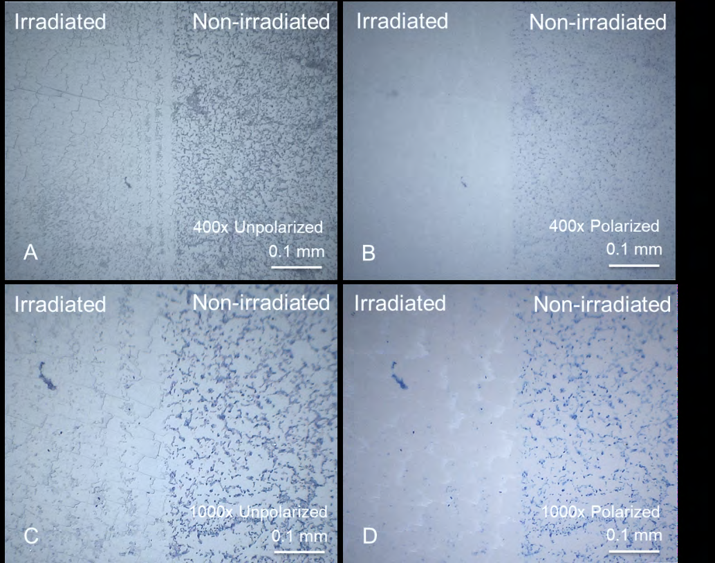 Figure 2: Images of the methylene blue-stained bacteria on the enamel surface are shown with the irradiated (left side) and non-irradiated (right side) of each image. Magnifications of 400x and 1000x both with and without cross-polarization are shown.