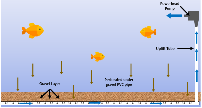 Figure 2: Under gravel filter made with perforated PVC pipe attached with power head pump.