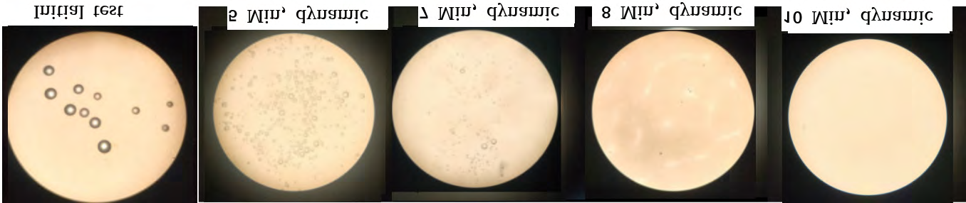 Figure 7: The decontamination procedure of 1:8L of yeast solution in which the fungus colonies were measured after 5, 7, 8 and 10 Min respectively in dynamic regime. Beginning with decontamination time interval 7 and 10 Min the fungus colonies are not observed with our optical microscope. We mention that during the cyclical pump of 1.5 L of solution through the metamaterial element of our equipment, only 0.1 L part of the solution was under the UVC radiation. The remaining part was in the cyclical moving.