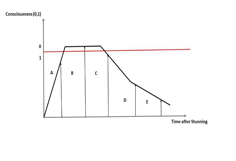 Figure 2: The Influence of Slaughtering Method on Fish Welfare Model (Adopted from Brethe, 2011).