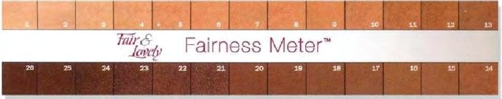 Figure 1: Fair and Lovely Fairness Meter.