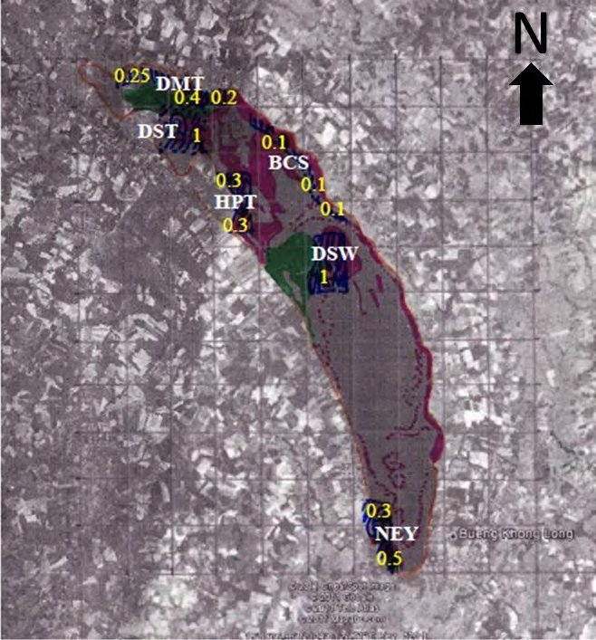 Figure 1: One grid was counted as 1 unit and the area covered by a half of grid was counted as 0.5 unit, and other proportions depended on the areas presented in the grid. The potential feeding areas of _A. purpurea_ were calculated as a proportion of the total area of lake. Abbreviations present in the Figure 1 represent the name of investigated stations (DMT = Don Mor Tong, DST = Don Seo Tai, BCS = Ban Chareon Suk, HPT = Huai Pong Tao, DSW = Don Sa Wan, NEY = Noan Eee Yord).