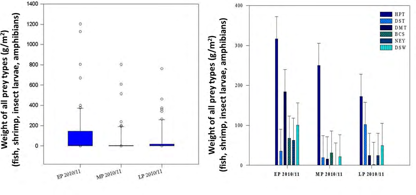 Figure 3: Biomass of all prey types among periods in the second migratory year of A. purpurea at Bung Khong Long Lake [26].