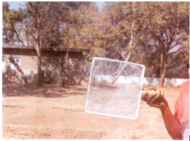 Figure 12: Transportation of fish in large water buckets Packaging of fish for transportation is shown in Figure 13.