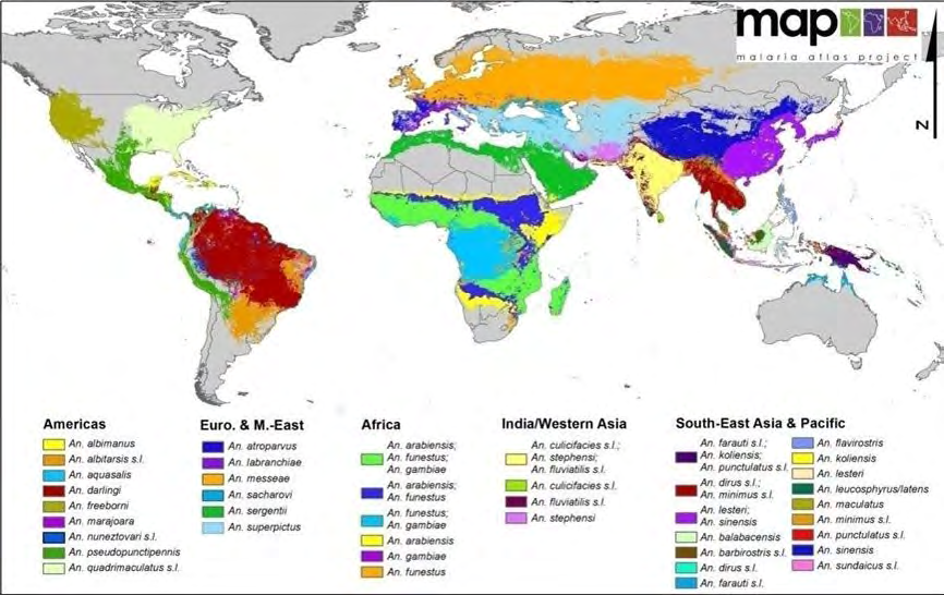 Figure 2: The Global Distribution of the Arbovirus Vectors _Aedes Aegypti_.