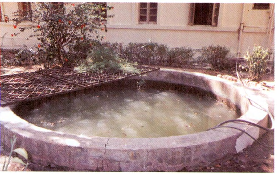 Figure 8: A tanks for stocking fish.