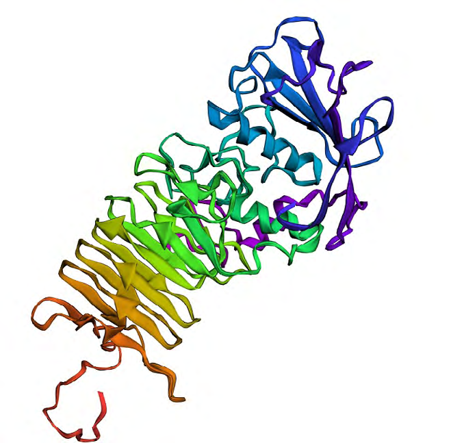 Figure 5: Protein model validation: RAMPAGE was used to validate our protein model. The RAMPAGE result shows 82.6% residues are in the most favored region, 13.9% residues in additionally allowed regions, 3.0% residues in generously allowed regions and 0.5% residues in disallowed regions.