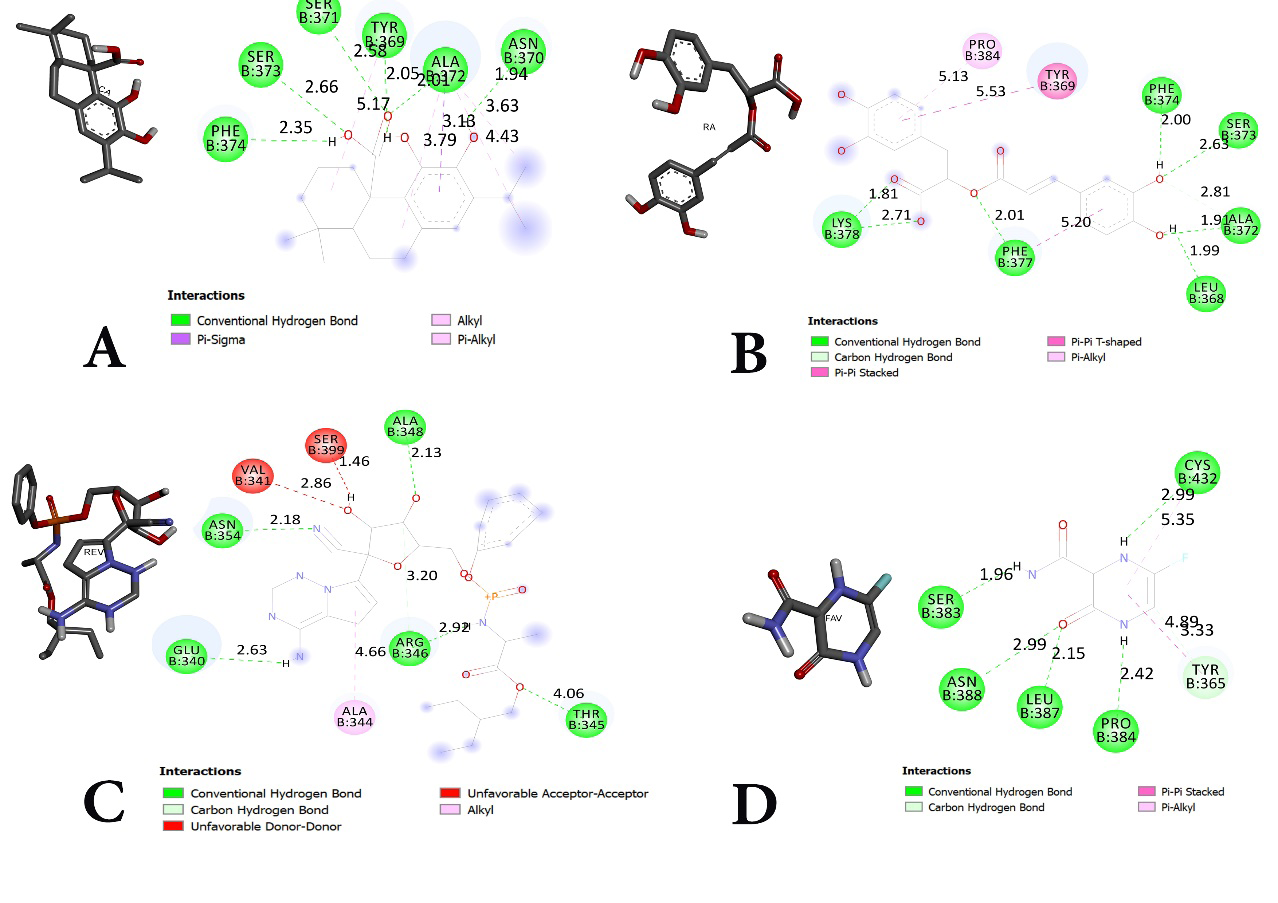 Figure 2: Interactions between SS and ligands (A: CA, B: RA, C: REV and D: FAV).