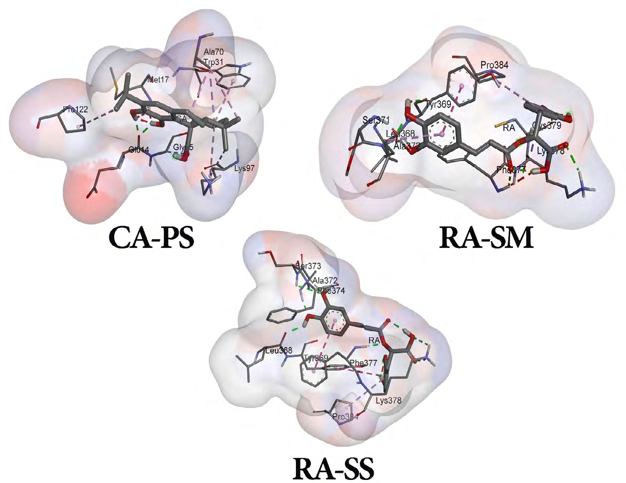 Figure 5: CA showed also six hydrogen bonds with SS in PHE374, SER373, SER371, TYR369, ALA372 and ASN370 with free binding energy of -6.36 Kcal/mol. FAV which was chosen as first positive control showed five hydrogen bonds with CYS432, SER383, ASN388, LEU387 and PRO384 after interaction with SS. It showed free binding energy of -5.11 Kcal/mol. REV as second positive control compound has shown five hydrogen bonds via ALA345, ASN354, GLU340, ARG346 and THR345 after interaction with SS. It showed alkyl bon with ALA344 with free binding energy of -5.27 Kcal/mol (Table 1).