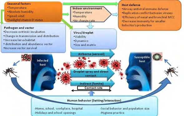 Figure 1: Effects of the environment and climate on Co-Circulation SARS-CoV-2 and dengue transmission. (Adapted from Moriyama M, et al. [19]).