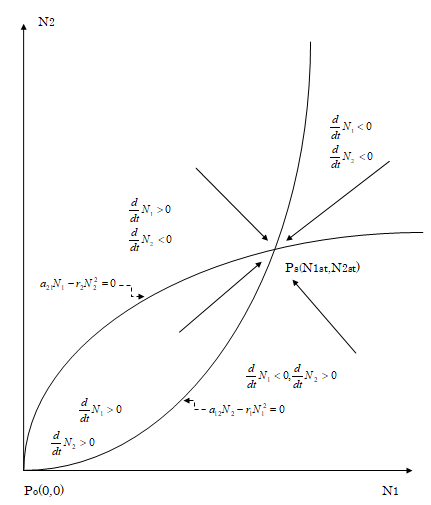 Figure 3: The simplest model for the regulation and control on the proliferation of stem cells in two lineages. The time change in the numbers N1 and N2 of differentiated cells in the respective lineages is illustrated according to the following set of two equations.