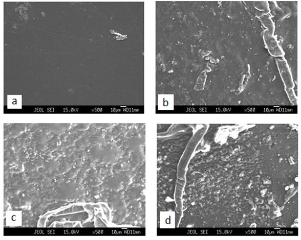 Figure 2: SEM image of DMSO casted (a) PVK, (b) PVA: PVK, (c) PVA: PVK: 0.4M CH3COONH4 and (d) PVA: PVK: 0.4M CH3COONH4: 6wt% SiO2.