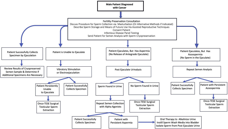 Figure 2: Courtesy ref no -33-Contemporary paradigm for male fertility preservation. A contemporary, comprehensive approach to fertility preservation for male patients diagnosed with cancer is presented. This paradigm incudes numerous methods to obtain sperm from individuals who are otherwise unable to provide a sufficient ejaculated semen specimen. onco- TESE = oncologic testicular sperm extraction.