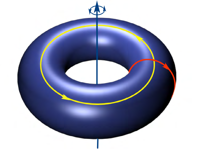 Figure 1: Universe in the form of a vortex torus.