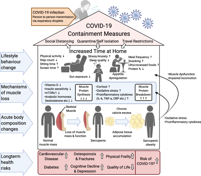 Figure 6: Summary of Potential Effects of Quarantine of Lifestyle.