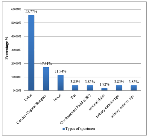 Figure 1: The prevalence of the Klebsiella pneumoniae isolates according to the different types of specimen.