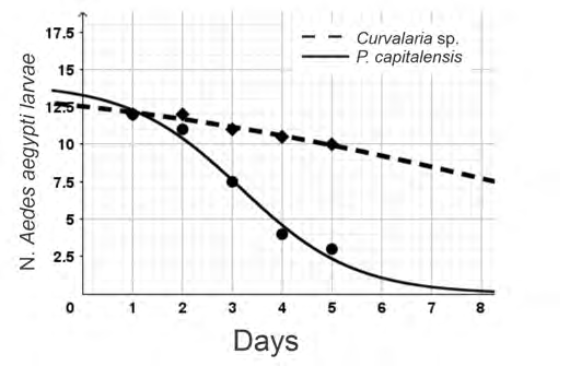 Figure 2: Adjusted curves of secondary metabolites of Phyllosticta capitalensis Tg06 and Curvularia sp. G6-32 against Aedes aegypti.