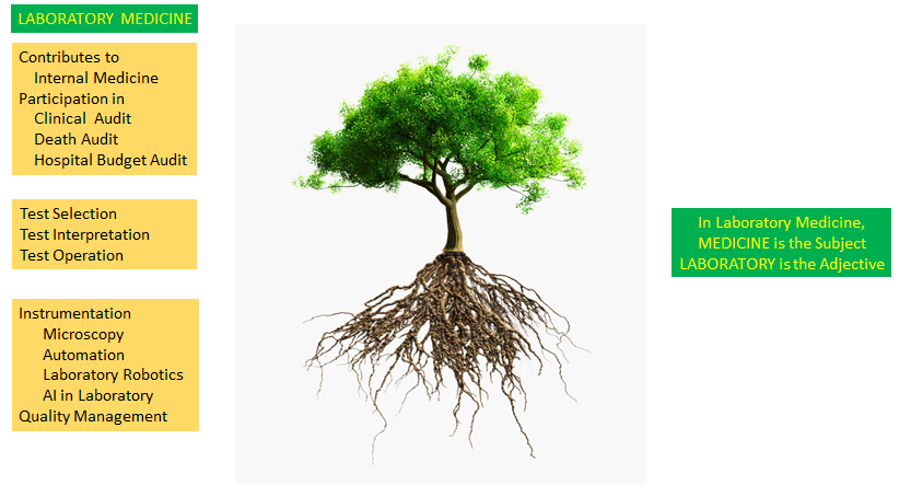 Figure 1: The Organics of Laboratory Medicine: The Roots, Stem and the leafy Apex of the Tree of Laboratory Medicine.